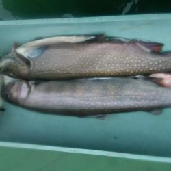 雨のとしまえん　エクストリーム