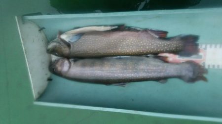 雨のとしまえん　エクストリーム