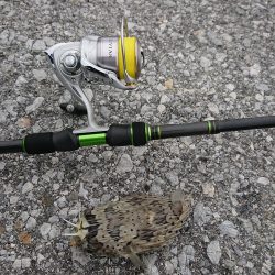 仕事で沖縄へ。