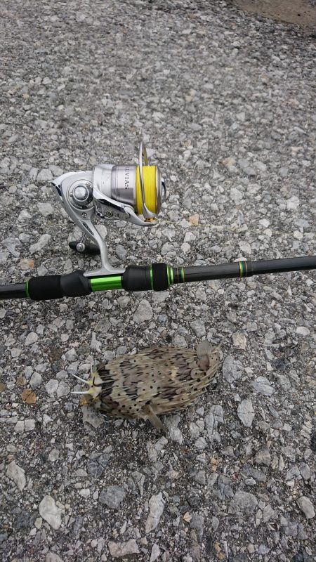 仕事で沖縄へ。