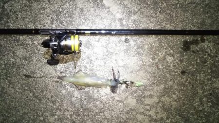 今日は渋かった・・・