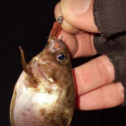 なかなか乗らない