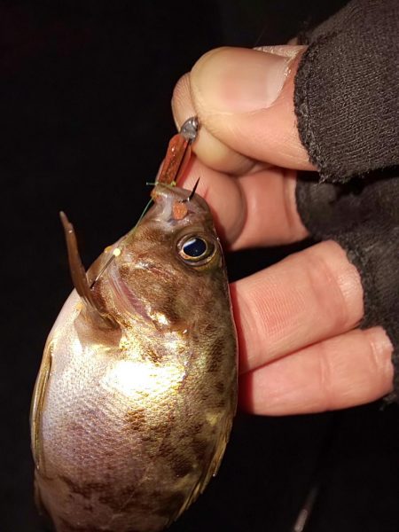 なかなか乗らない