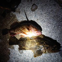 レッツガシリング