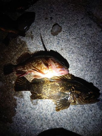 レッツガシリング