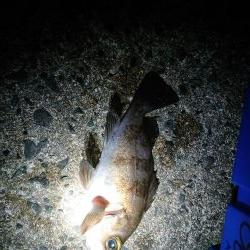 レッツメバリング