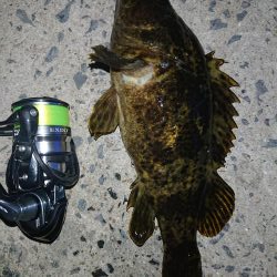 レッツガシリング