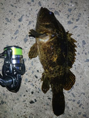 レッツガシリング