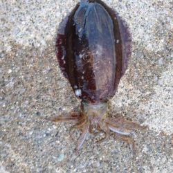 2ヶ月ぶりの久しぶりの釣果でした。