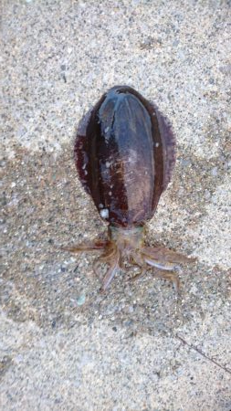 2ヶ月ぶりの久しぶりの釣果でした。