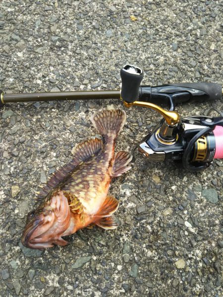 強風ガシリング