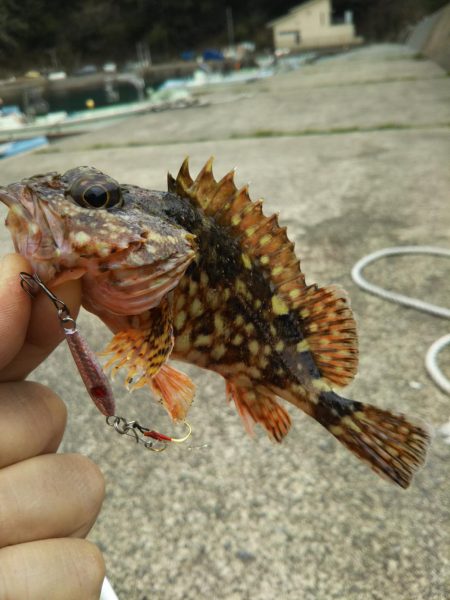 雨のディメバリング