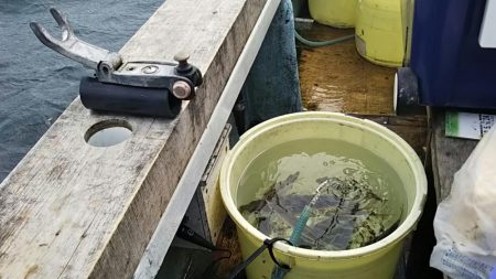 大アジに大満足‼️