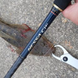 春が来たのかな?