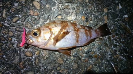 帰りにメバリング