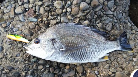 大荒れの中の一本