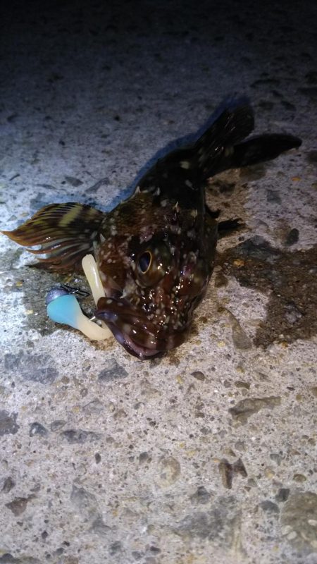 近所に湾奥ロック