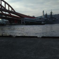 寒サバ狙いでショアジギサビキ