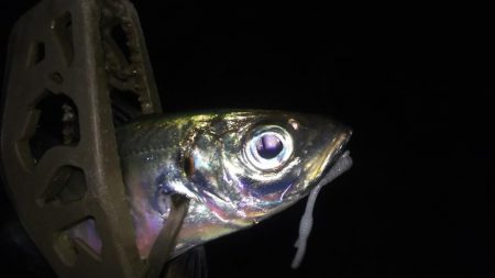 真冬に逆戻り？