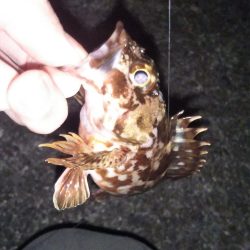 初めての場所でライトゲーム