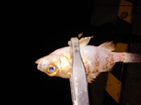 好状況ながら渋い