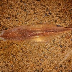 初めての小さな漁港で