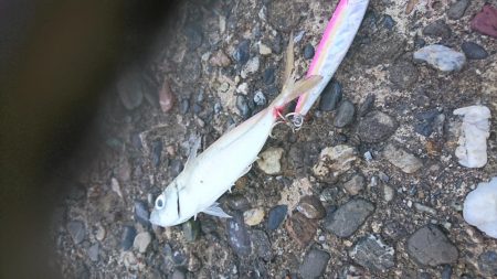 風でルアーが飛びません