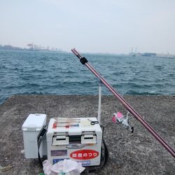 播磨新島のキス情報