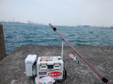 播磨新島のキス情報