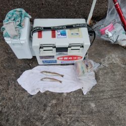 播磨新島のキス情報