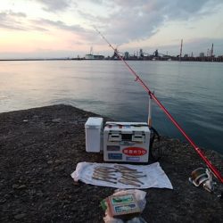 播磨新島のキス情報