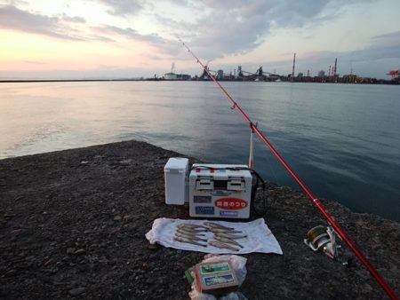 播磨新島のキス情報