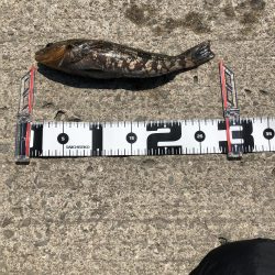 強風の中 ボウズ逃れられました！