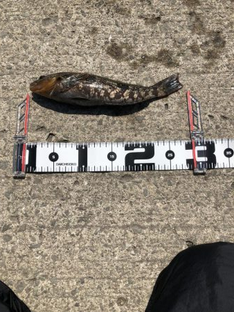 強風の中 ボウズ逃れられました！