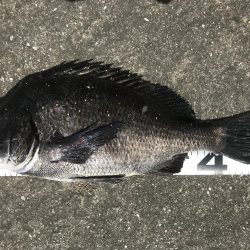 イチノ兄弟、釣果！