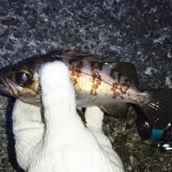 渋いメバリング