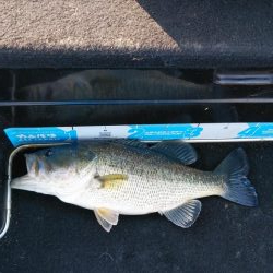 春シーズンイン