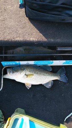 春シーズンイン