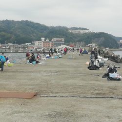 情報どおりでした