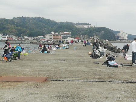 情報どおりでした