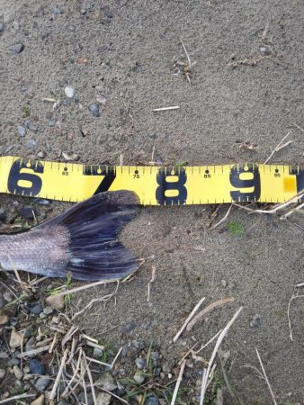 久しぶりの投稿