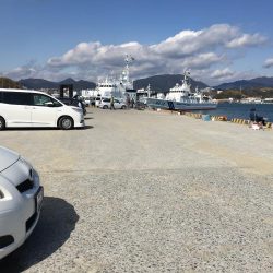 釣り客多いが釣果は今一つ