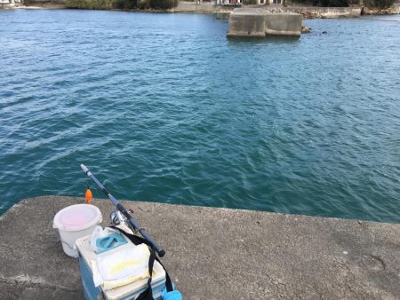 コアジ28㎝含む35匹