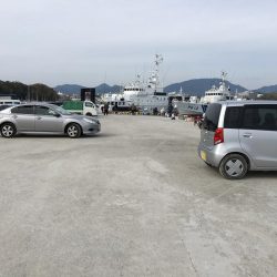 今日も好調　アジ33匹