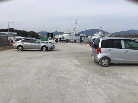 今日も好調　アジ33匹