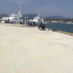 アジの地合い無し