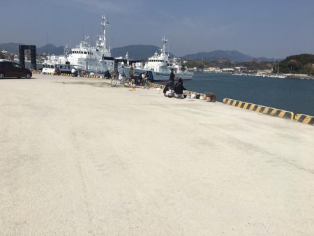 アジの地合い無し