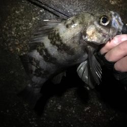 諦めたらそこで試合終了ですよ。