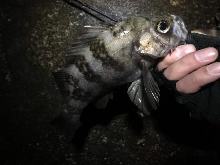 諦めたらそこで試合終了ですよ。