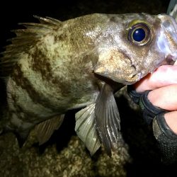 何処も鉄壁のディフェンスっ!!